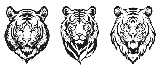 Tiger Head Drawing Vector Set