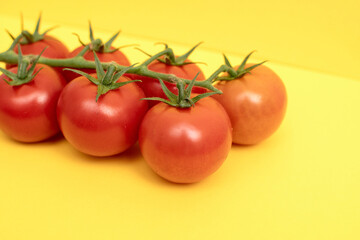 Red cherry tomatoes with green branch on yellow background	