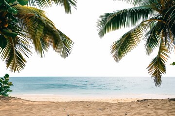 beach with palm trees and blue sky, tropical beach scene with transparent background