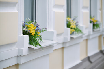 Beautiful flowers bouquets in pots on window sills of a house in a row. Decorating of building exterior.