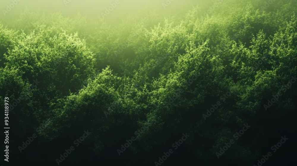 Poster serene gradient background fading from light green to dark forest green, ideal for a nature-inspired