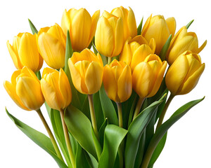 Bouquet of vibrant yellow tulips isolated transparent PNG file