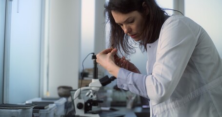 Young scientist works with fossil remains in archaeological laboratory. Female archaeologist in lab...