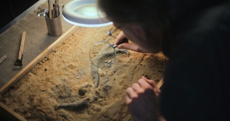 Mature archaeologist studies remains of ancient animal or human under lamp using magnifying glass. Scientist works with fossils, does historical bone examination and research in archaeological lab.