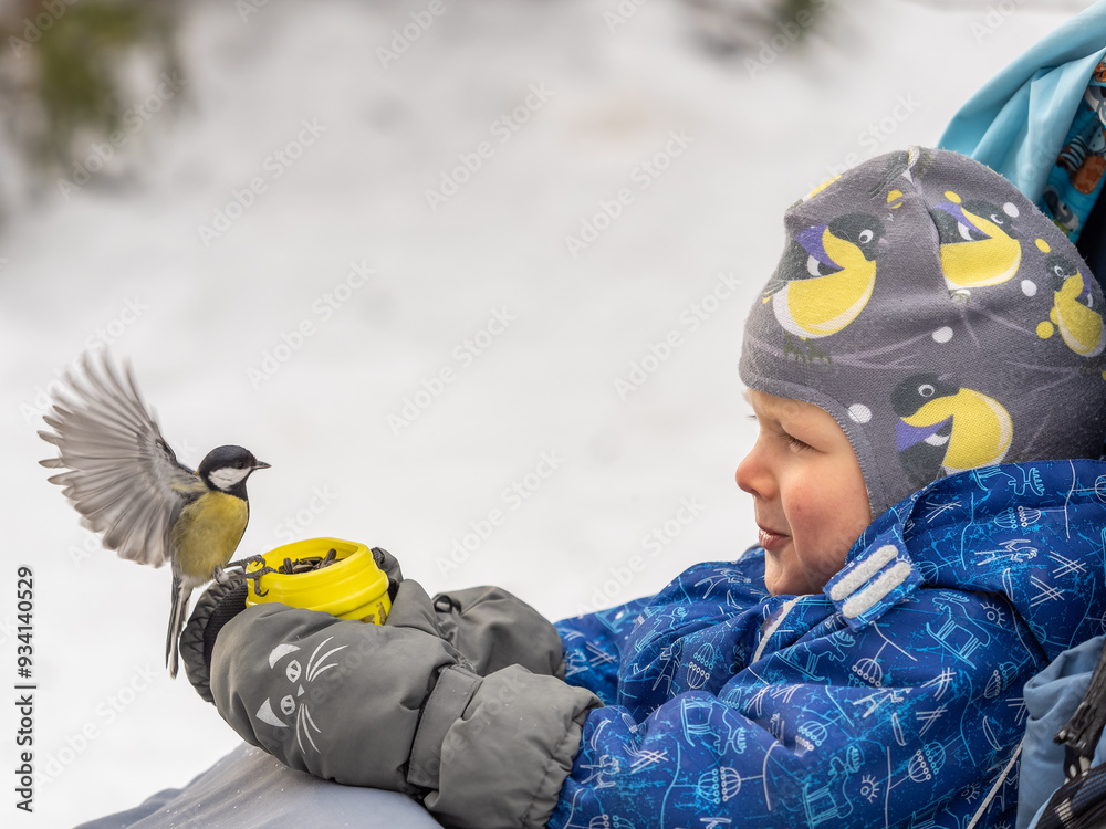 Canvas Prints The Great tit eats seeds from a palm of little boy. Hungry bird Great tit eating seeds from a hand during autumn