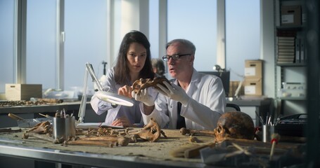 Archaeological laboratory: Senior paleoanthropologist examines remains of prehistoric human...