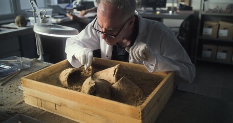 Senior archaeologist or paleoanthropologist cleans ancient cultural heritage from sand using tools and brush, studies fossil remains in archaeological lab. Male colleague works in the background.