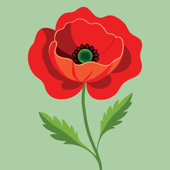 Obraz premium Poppy Flower Vector Illustration