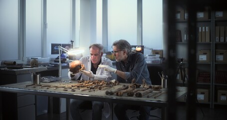 Two archaeologists work in archaeological lab. Male scientists examines fossil skull under lamp...