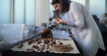 Young scientist works with fossil remains in archaeological laboratory. Female archaeologist in lab...