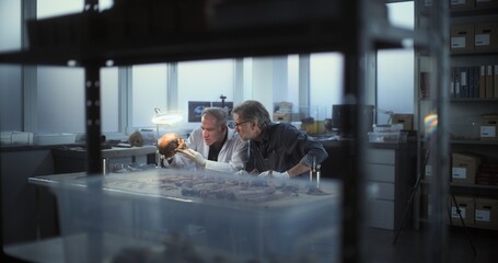 Two archaeologists studies fossil skull under lamp and have discussion. Scientists work in modern archaeological laboratory. Table with bones, remains of ancient extinct human and professional tools.