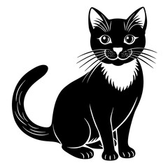 cat vector art illustration