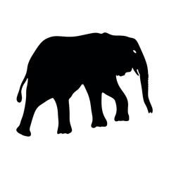 Fototapeta premium Elephant Silhouette. Silhouette of elephants. Elephant shadow hand drawn. Animal Elephant Silhouette