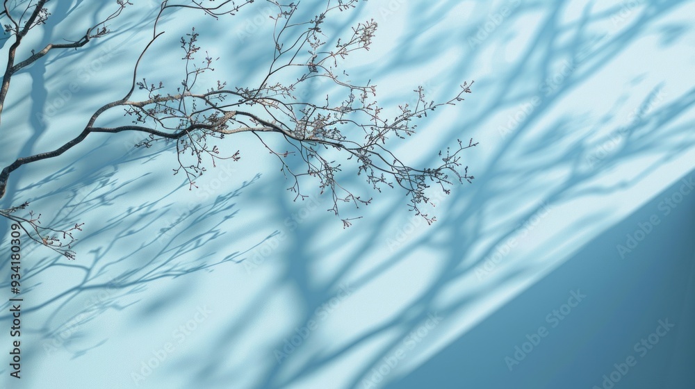 Poster elegant branches create a mesmerizing dance of shadows on a calm blue backdrop, highlighting the bea