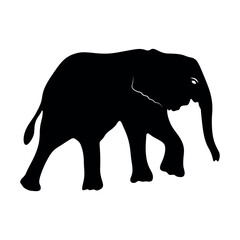 Elephant Silhouette. Silhouette of elephants. Elephant shadow hand drawn. Animal Elephant Silhouette