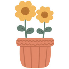 Sunflower in a pot