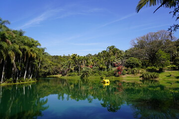 Pedalinho Lago Plantas Ornamentais e Jardins 