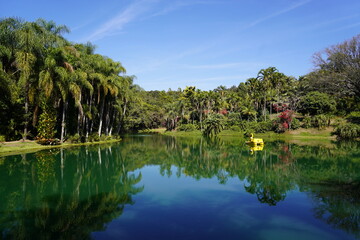 Fototapeta premium Pedalinho Lago Plantas Ornamentais e Jardins 