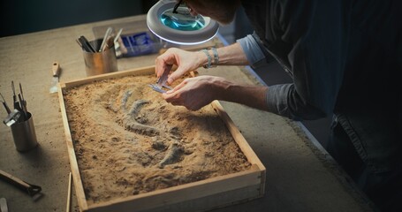 Mature archaeologist takes measurements of dinosaur skeleton using professional measuring tool. Scientist works with fossil remains, does scientific historical research in archaeological laboratory.