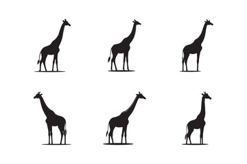 A sets of giraffe vector silhouettes isolated on a white background.