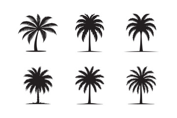 Black palm set icon tree isolated on white background. Palm icon silhouettes. Design of palm tree	