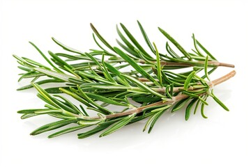 Fototapeta premium Rosemary spice on white isolated background