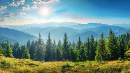 Magnificent panoramic view the coniferous forest on the mighty Carpathians Mountains and beautiful blue sky background. Beauty of wild virgin Ukrainian nature. Peacefulness , ai