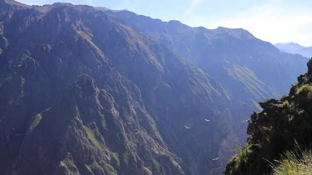 Arequipa is the capital of colonial times surrounded by nature, landscapes, volcanoes and the imposing condor of the Andes.