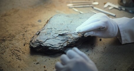 Close up of archaeologist in gloves cleaning fossil using professional tools. Scientist works with...