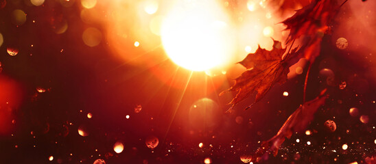 Fall Scene. Bokeh effect. Trees and Leaves in Sunlight Rays