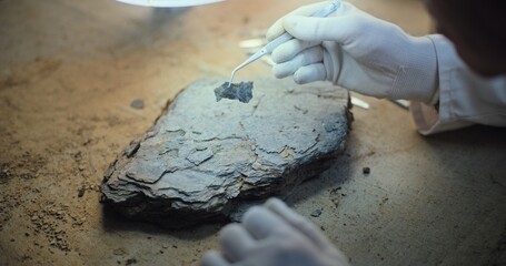 Close up of archaeologist in gloves cleaning fossil using professional tools. Scientist works with artifact of ancient extinct civilization, does scientific historical research in archaeological lab. © Framestock