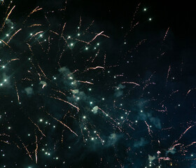 Colorful fireworks against night sky