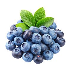 blueberries on white background