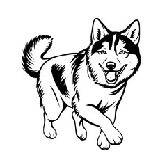 Husky Vector