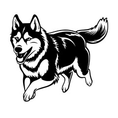 Fototapeta premium Husky Vector