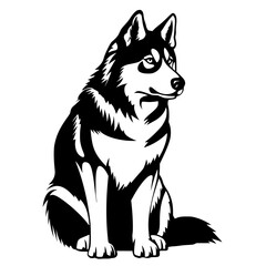 Husky Vector