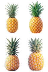 Pineapple fruit tropical and juicy  