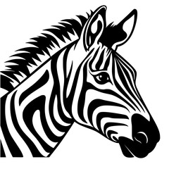 Zebra Vector