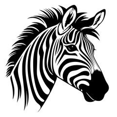 Fototapeta premium Zebra Vector