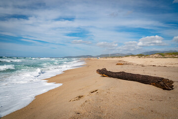 In Sardegna una spiaggia con la sabbia gialla e onde alte in estate.