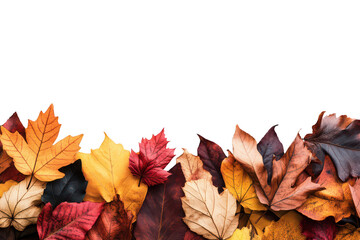 Feuilles d'Automne en Bas, Espace pour Texte