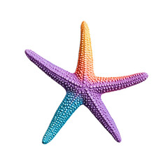 Naklejka premium Colorful starfish with intricate details and textured surface isolated on a transparent background 