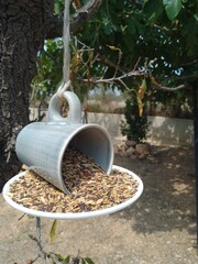 Handmade Cup and Saucer Bird Feeder