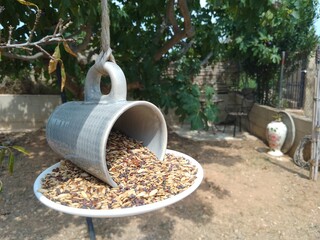 Handmade Cup and Saucer Bird Feeder
