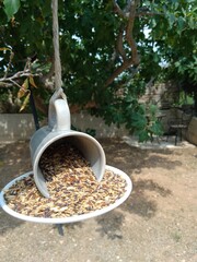 Handmade Cup and Saucer Bird Feeder