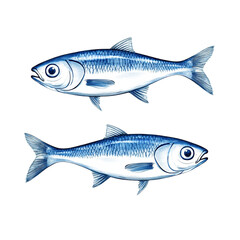 Fototapeta premium Shimmering sardine fish with metallic silver and blue hues isolated on transparent background 