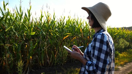 Female agronomist looking the condition stalks of corn and writing data in notebook. Adult farmer in straw hat making notes in notepad on maize meadow at sunset. Concept of agricultural business