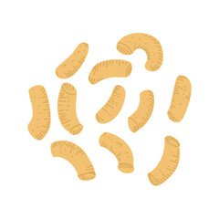 Corn sticks on an isolated background. Snack food