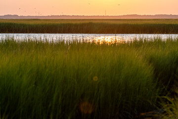 Avalon, New Jersey - Golden Hour Sunset over the Cape May National Wildlife Refuge