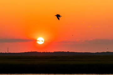 Avalon, New Jersey - Golden Hour Sunset over the Cape May National Wildlife Refuge